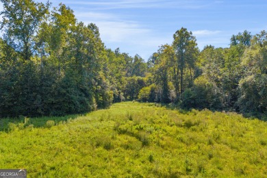 Discover an outstanding investment opportunity with this on Currahee Golf Club in Georgia - for sale on GolfHomes.com, golf home, golf lot