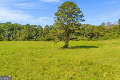 Discover an outstanding investment opportunity with this on Currahee Golf Club in Georgia - for sale on GolfHomes.com, golf home, golf lot