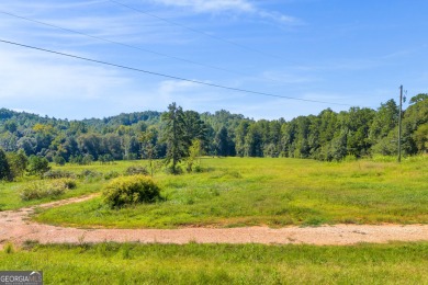 Discover an outstanding investment opportunity with this on Currahee Golf Club in Georgia - for sale on GolfHomes.com, golf home, golf lot