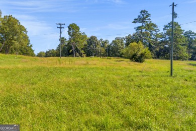 Discover an outstanding investment opportunity with this on Currahee Golf Club in Georgia - for sale on GolfHomes.com, golf home, golf lot