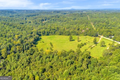 Discover an outstanding investment opportunity with this on Currahee Golf Club in Georgia - for sale on GolfHomes.com, golf home, golf lot