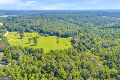 Discover an outstanding investment opportunity with this on Currahee Golf Club in Georgia - for sale on GolfHomes.com, golf home, golf lot