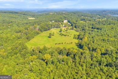 Discover an outstanding investment opportunity with this on Currahee Golf Club in Georgia - for sale on GolfHomes.com, golf home, golf lot