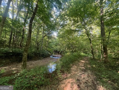 Discover an outstanding investment opportunity with this on Currahee Golf Club in Georgia - for sale on GolfHomes.com, golf home, golf lot