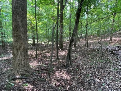 Build your dream home on this perfectly positioned lot along the on The Trail At Chickasaw Pointe in South Carolina - for sale on GolfHomes.com, golf home, golf lot