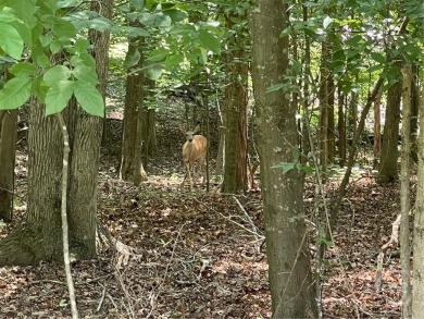 Build your dream home on this perfectly positioned lot along the on The Trail At Chickasaw Pointe in South Carolina - for sale on GolfHomes.com, golf home, golf lot