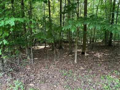 Build your dream home on this perfectly positioned lot along the on The Trail At Chickasaw Pointe in South Carolina - for sale on GolfHomes.com, golf home, golf lot