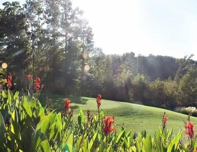 Build your dream home on this perfectly positioned lot along the on The Trail At Chickasaw Pointe in South Carolina - for sale on GolfHomes.com, golf home, golf lot