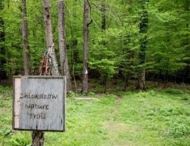 Build your dream home on this perfectly positioned lot along the on The Trail At Chickasaw Pointe in South Carolina - for sale on GolfHomes.com, golf home, golf lot