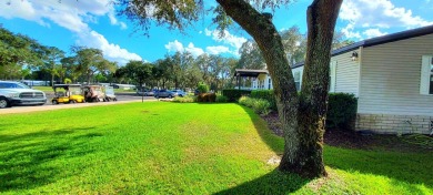 55+/2007/2 BD/2 BA/1012 SQ FT/PARK FEES ONLY $933.00/LARGE HOME on Southport Springs Golf Club in Florida - for sale on GolfHomes.com, golf home, golf lot