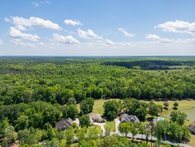 ~ GORGEOUS MEDITERRANEAN STYLE HOME THAT IS UNIQUE & IMPRESSIVE on Stonebridge Golf and Country Club in Georgia - for sale on GolfHomes.com, golf home, golf lot