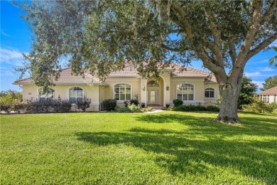 One or more photo(s) has been virtually staged. Elevated Luxury on Skyview At Terra Vista Golf and Country Club in Florida - for sale on GolfHomes.com, golf home, golf lot
