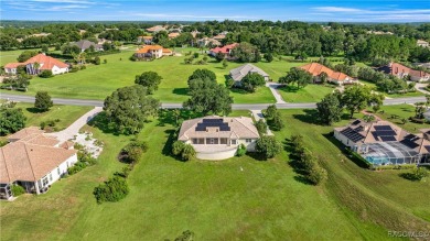 One or more photo(s) has been virtually staged. Elevated Luxury on Skyview At Terra Vista Golf and Country Club in Florida - for sale on GolfHomes.com, golf home, golf lot