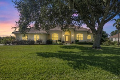 One or more photo(s) has been virtually staged. Elevated Luxury on Skyview At Terra Vista Golf and Country Club in Florida - for sale on GolfHomes.com, golf home, golf lot