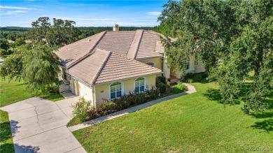 One or more photo(s) has been virtually staged. Elevated Luxury on Skyview At Terra Vista Golf and Country Club in Florida - for sale on GolfHomes.com, golf home, golf lot