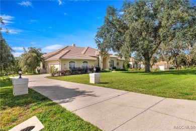 One or more photo(s) has been virtually staged. Elevated Luxury on Skyview At Terra Vista Golf and Country Club in Florida - for sale on GolfHomes.com, golf home, golf lot