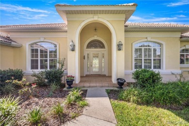 One or more photo(s) has been virtually staged. Elevated Luxury on Skyview At Terra Vista Golf and Country Club in Florida - for sale on GolfHomes.com, golf home, golf lot