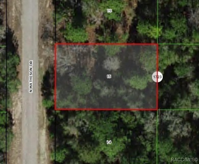 Picturesque homesite in Citrus Springs offering an incredible on Citrus Springs Country Club in Florida - for sale on GolfHomes.com, golf home, golf lot