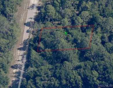 Picturesque homesite in Citrus Springs offering an incredible on Citrus Springs Country Club in Florida - for sale on GolfHomes.com, golf home, golf lot