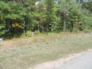Lot 34, a buildable wooded lot on Nepco Lake, Central Wis. The on The Ridges Golf Club in Wisconsin - for sale on GolfHomes.com, golf home, golf lot