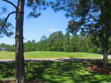 Welcome Home to Your Serene Oasis in Cypress Head, Port Orange
 on The Golf Club At Cypress Head in Florida - for sale on GolfHomes.com, golf home, golf lot