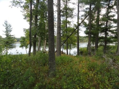 Lot 34, a buildable wooded lot on Nepco Lake, Central Wis. The on The Ridges Golf Club in Wisconsin - for sale on GolfHomes.com, golf home, golf lot