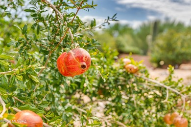This gorgeous, oversized lot with lush landscaping and bordering on Quail Creek Country Club  in Arizona - for sale on GolfHomes.com, golf home, golf lot