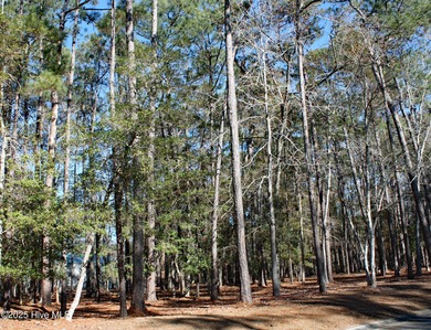 A private nicely wooded homesite in prestigious Rivers Edge Golf on Rivers Edge Golf Club in North Carolina - for sale on GolfHomes.com, golf home, golf lot