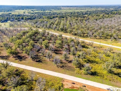 Lot 3299. It is time to build your custom dream home and hanger on Pecan Plantation Country Club in Texas - for sale on GolfHomes.com, golf home, golf lot