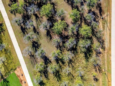 Lot 3299. It is time to build your custom dream home and hanger on Pecan Plantation Country Club in Texas - for sale on GolfHomes.com, golf home, golf lot