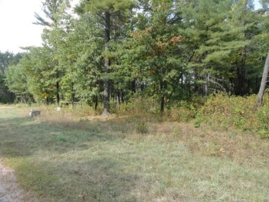2 buildable wooded lots on Nepco Lake, Central Wis. Lots 34&35 on The Ridges Golf Club in Wisconsin - for sale on GolfHomes.com, golf home, golf lot