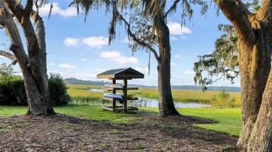 Cooper's Point provides access to a community deep water dock on Sapelo Hammock Golf Club in Georgia - for sale on GolfHomes.com, golf home, golf lot