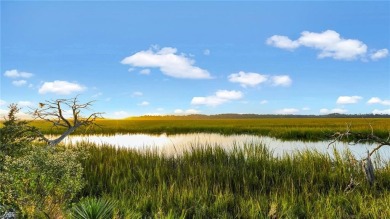 Cooper's Point provides access to a community deep water dock on Sapelo Hammock Golf Club in Georgia - for sale on GolfHomes.com, golf home, golf lot