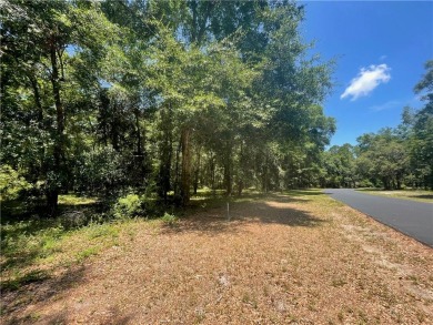 Cooper's Point provides access to a community deep water dock on Sapelo Hammock Golf Club in Georgia - for sale on GolfHomes.com, golf home, golf lot