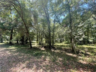 Cooper's Point provides access to a community deep water dock on Sapelo Hammock Golf Club in Georgia - for sale on GolfHomes.com, golf home, golf lot