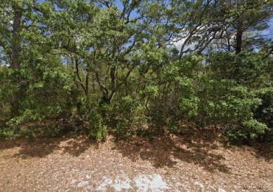 Build your dream home on this incredible 2.75 Acre vacant lot in on Pine Ridge Community Golf and Country Club in Florida - for sale on GolfHomes.com, golf home, golf lot