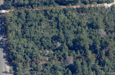 Build your dream home on this incredible 2.75 Acre vacant lot in on Pine Ridge Community Golf and Country Club in Florida - for sale on GolfHomes.com, golf home, golf lot
