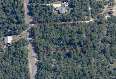 Build your dream home on this incredible 2.75 Acre vacant lot in on Pine Ridge Community Golf and Country Club in Florida - for sale on GolfHomes.com, golf home, golf lot