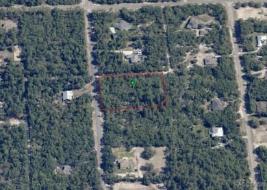 Build your dream home on this incredible 2.75 Acre vacant lot in on Pine Ridge Community Golf and Country Club in Florida - for sale on GolfHomes.com, golf home, golf lot