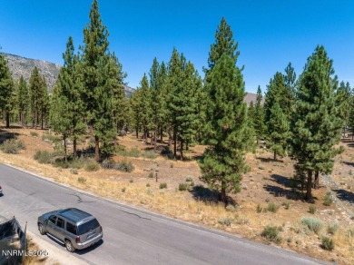 Exceptional Buildable Lot at Clear Creek Tahoe. Protected within on Clear Creek Tahoe in Nevada - for sale on GolfHomes.com, golf home, golf lot