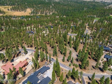 Exceptional Buildable Lot at Clear Creek Tahoe. Protected within on Clear Creek Tahoe in Nevada - for sale on GolfHomes.com, golf home, golf lot