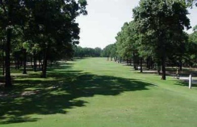 Discover the perfect canvas for your dream home on this stunning on Pinnacle Golf and Boat Club in Texas - for sale on GolfHomes.com, golf home, golf lot