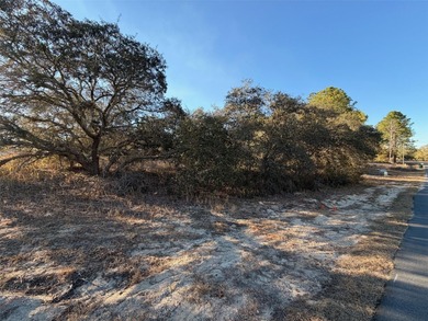 Build your Florida dream in the heart of Citrus Springs! This on Citrus Springs Country Club in Florida - for sale on GolfHomes.com, golf home, golf lot