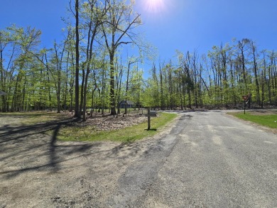 Your Forever Home or Perfect Up-North Oasis! Discover comfort on Michaywe Pines Course in Michigan - for sale on GolfHomes.com, golf home, golf lot