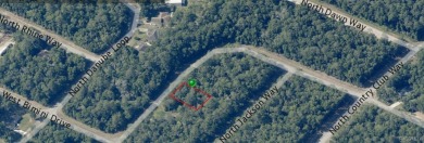23 acre corner lot located in the well established community of on Citrus Springs Country Club in Florida - for sale on GolfHomes.com, golf home, golf lot