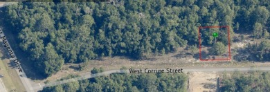 23 acre corner lot located in the well established community of on Citrus Springs Country Club in Florida - for sale on GolfHomes.com, golf home, golf lot