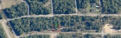 23 acre corner lot located in the well established community of on Citrus Springs Country Club in Florida - for sale on GolfHomes.com, golf home, golf lot