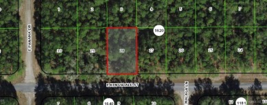 23 acre corner lot located in the well established community of on Citrus Springs Country Club in Florida - for sale on GolfHomes.com, golf home, golf lot