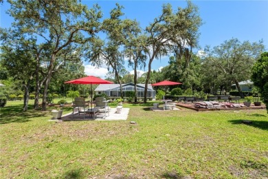Welcome to your private oasis on a full acre in Citrus Hills! on Citrus Hills Golf Club in Florida - for sale on GolfHomes.com, golf home, golf lot