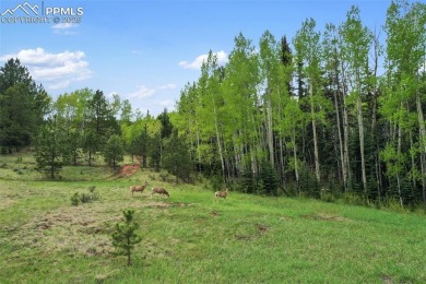 Welcome to Sourdough Ranch - A Rare Colorado Legacy Property
 on Shining Mountain Golf Club in Colorado - for sale on GolfHomes.com, golf home, golf lot